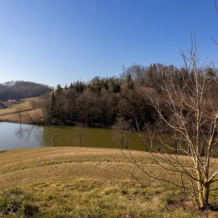Kristal Lux Aparments With A Balcony Apartamento Rogaška Slatina